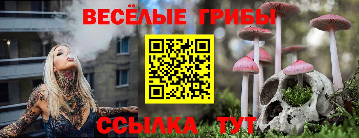 Псилоцибиновые грибы мухоморы Богданович