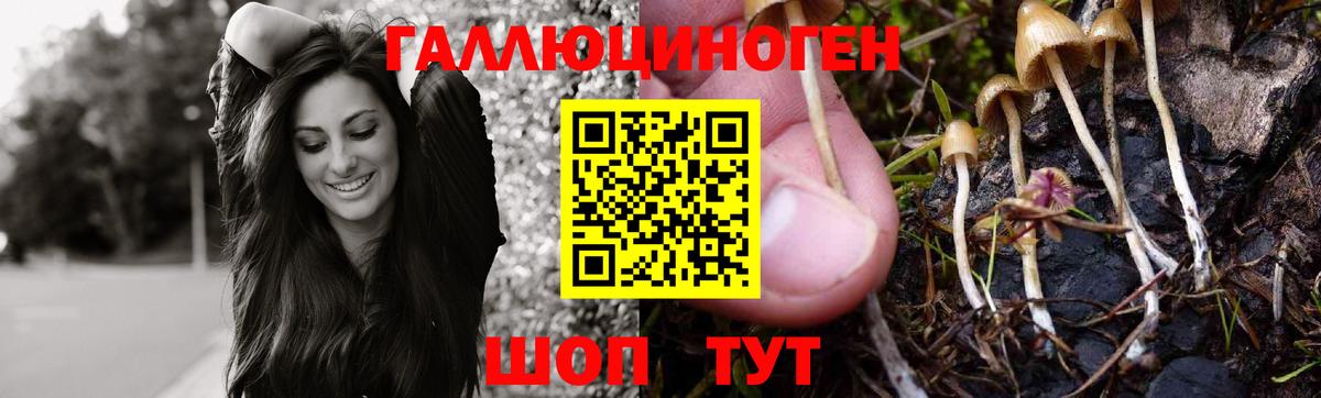 Псилоцибиновые грибы ЛСД  купить наркотики сайты  Богданович  Вход с VPN 